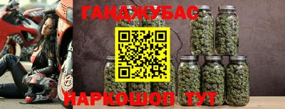прущие грибы Донецк