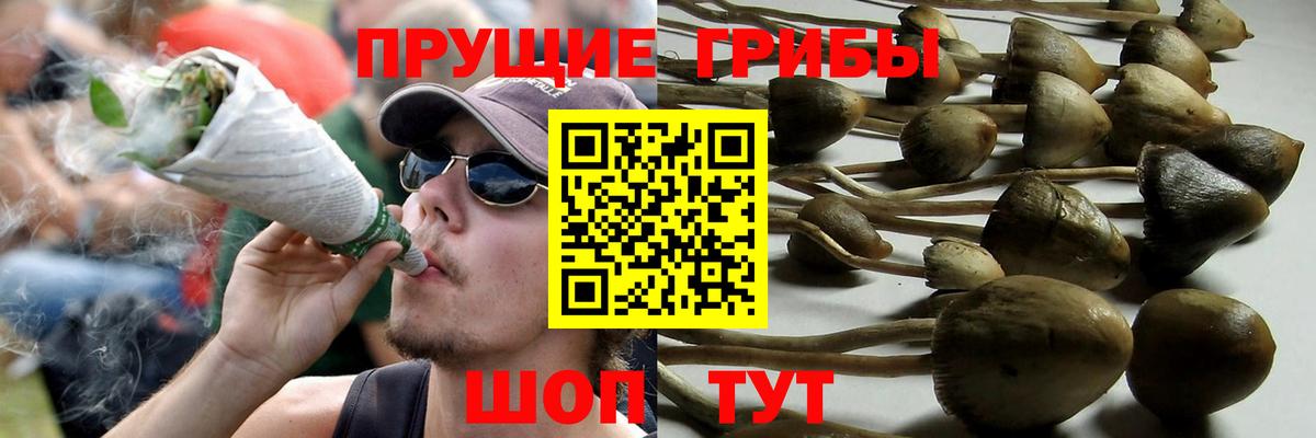 Псилоцибиновые грибы Psilocybine cubensis  Вход с VPN  Галлюциногенные грибы GOLDEN TEACHER  Геленджик 